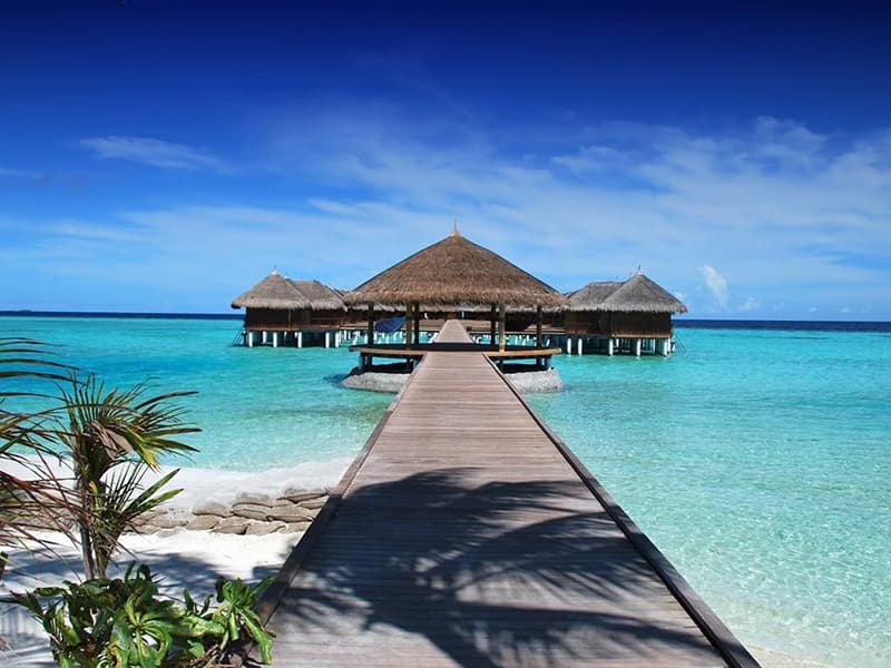 Maldive